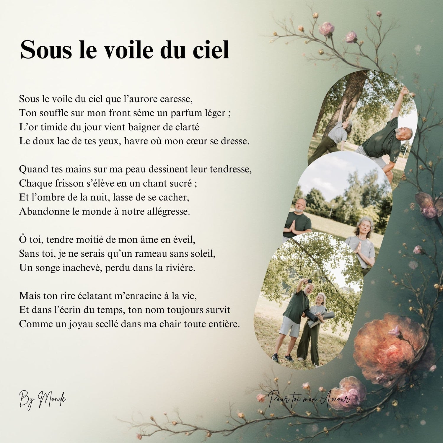 Sous le voile du ciel